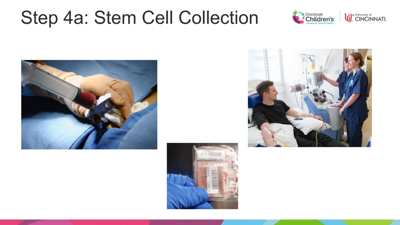 Step 4a: Stem Cell Collection