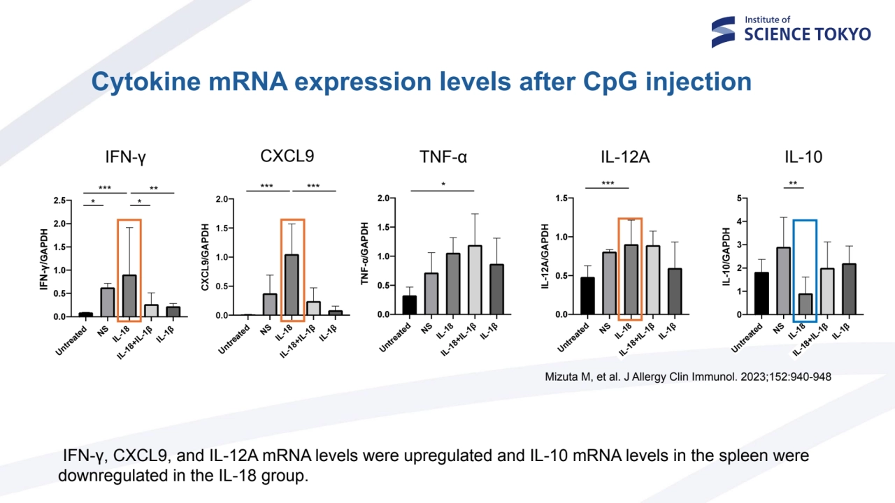 IL-18+IL-1β
IL-18
IL-1β
NS
Untreated
IFN-γ/GAPDH
*
***
*
**
*** ***
IL-18+IL-1β
IL-18
…