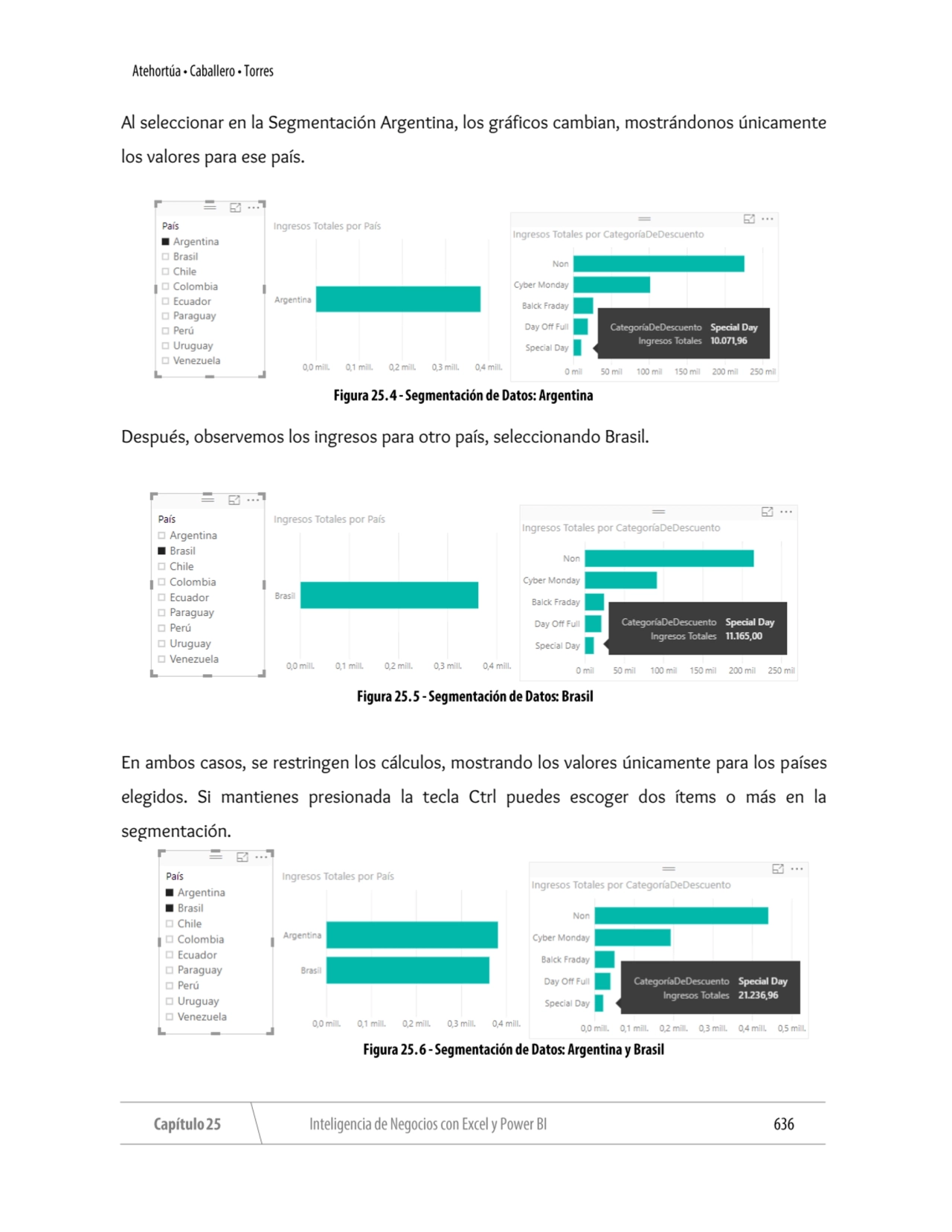 Al seleccionar en la Segmentación Argentina, los gráficos cambian, mostrándonos únicamente 
los va…