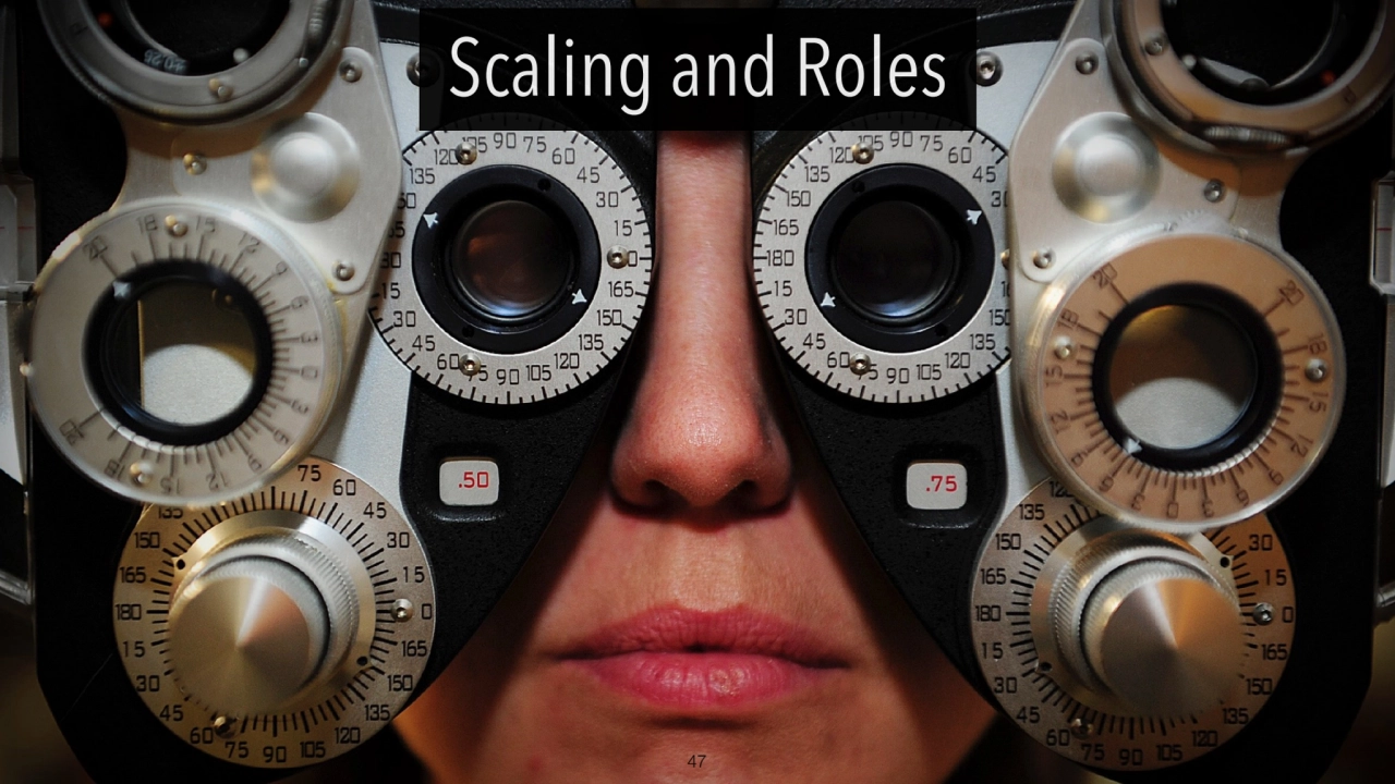 Scaling and Roles
47