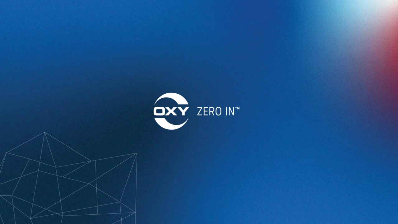Occidental (OXY) Q2 2025 Earnings Conference Call - Page 41