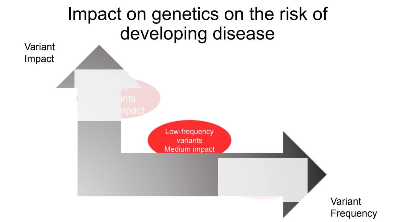 Impact on genetics on the risk of 
developing disease
Rare 
variants
High impact
Common 
vari…